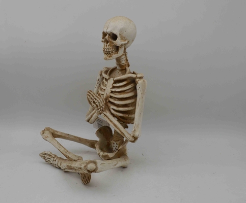 Yoga Skull Statue Bone Stretcher Halloween Yoga Skull Statue Meditation Table Collectible Home Decor Decorations